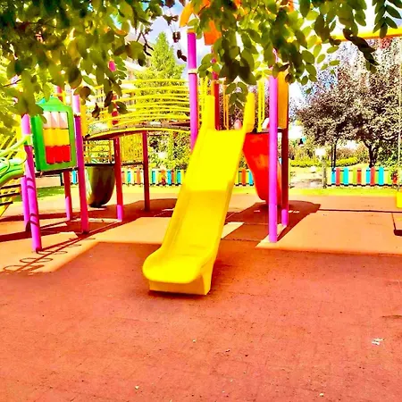 Grand Kamelia Sunny